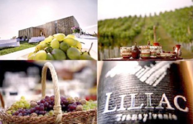 S-a lansat un nou brand de vinuri